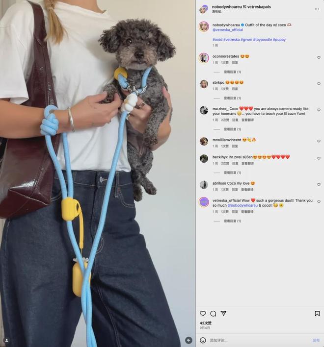 北美把160美元的猫爬架卖成了爆款AG真人国际厅你没听过的上海品牌在(图2) 北美把160美元的猫爬架卖成了爆款AG真人国际厅你没听过的上海品牌在(图2)