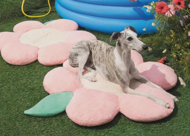 北美把160美元的猫爬架卖成了爆款AG真人国际厅你没听过的上海品牌在(图3) 北美把160美元的猫爬架卖成了爆款AG真人国际厅你没听过的上海品牌在(图3)