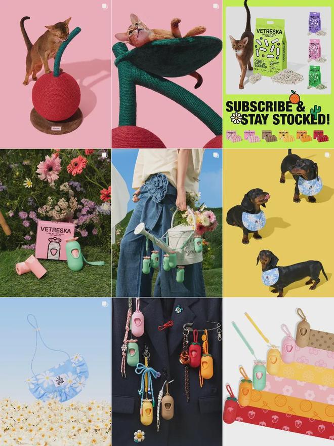 北美把160美元的猫爬架卖成了爆款AG真人国际厅你没听过的上海品牌在(图8) 北美把160美元的猫爬架卖成了爆款AG真人国际厅你没听过的上海品牌在(图8)