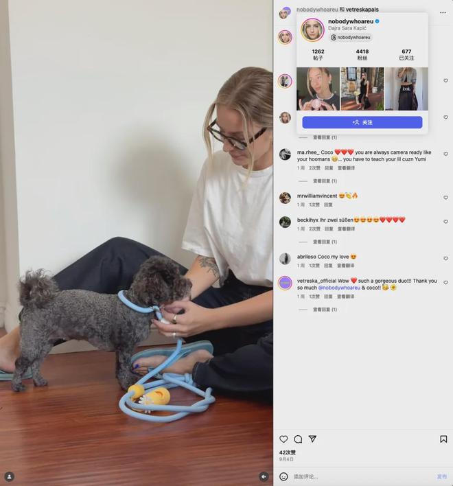 北美把160美元的猫爬架卖成了爆款AG真人国际厅你没听过的上海品牌在(图6)