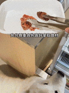 狗麻辣烫25一斤全是真肉上海狗有福了！AG真人旗舰厅登录破防了！上海惊现狗(图7)