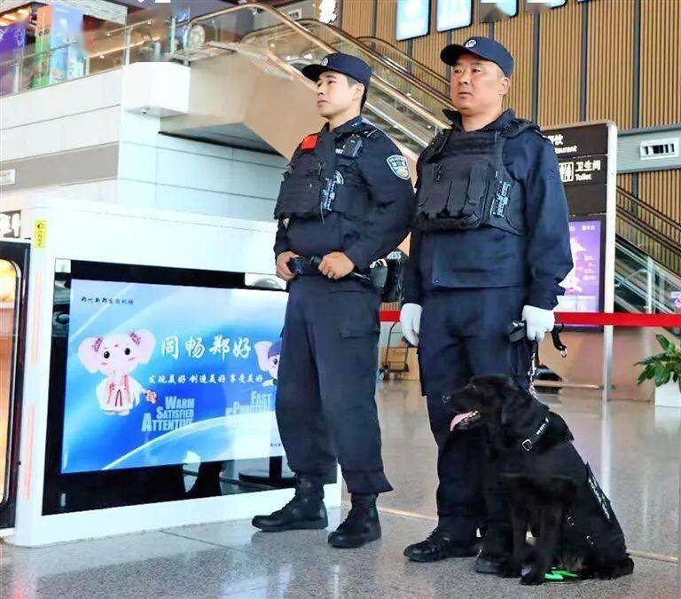 是如何练成的？——“汪汪队”养成记AG真人河南日报 他们和它们默契(图5)